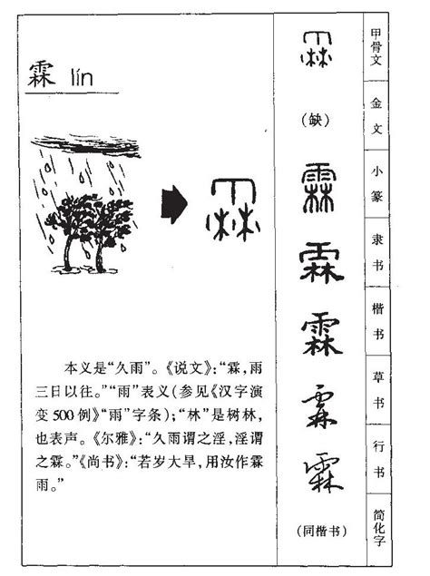 霖字五行|霖字的五行属性